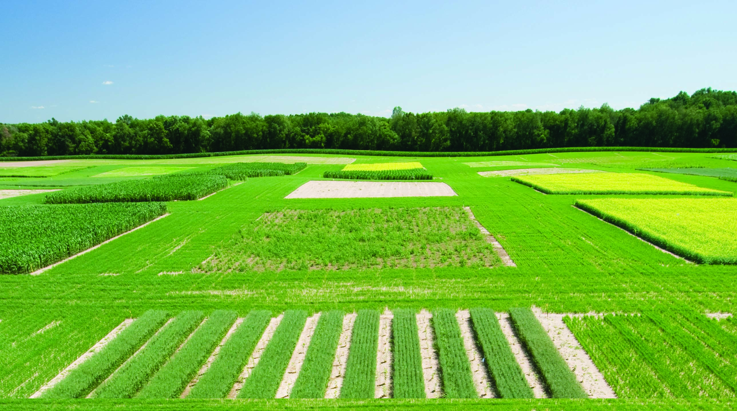 view of green rural land and cultivated fields