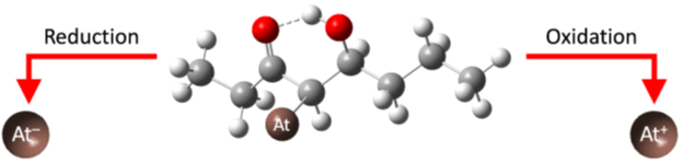 Schematic of the astatine-ketone bond breaking to release free astatine-211.