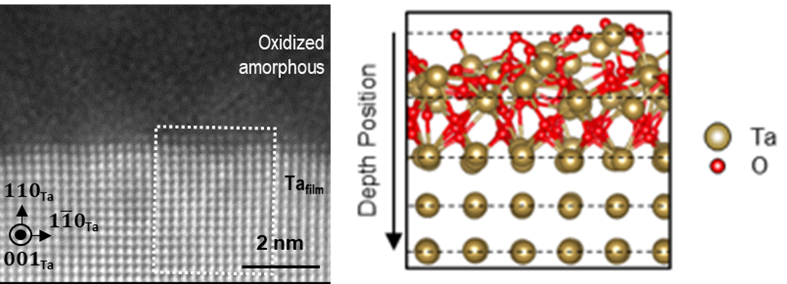 Left: scanning transmission electron microscope (STEM) image of a tantalum (Ta) film showing an oxide layer above the atoms of crystalline Ta metal. Right: STEM imaging combined with computational modeling revealed details of how these layers interface. 