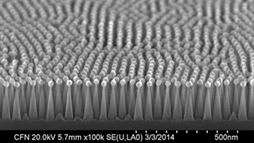 Inspired by the nonreflective nature of the eyes of moths, scientists at two New York institutions created a surface that could be used in solar panels to reduce the glare and capture more light. On this surface, each of the tiny posts is smaller than the wavelength of light. 