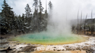 Cistern Spring in Yellowstone National Park is home to the elusive archaeon Nanopusillus acidilobi.