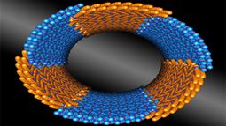 Scientists from DOE&rsquo;s Lawrence Berkeley National Laboratory discovered a family of synthetic polymers that self-assemble into nanotubes with consistent diameters. 