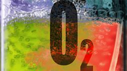 Funded by the Department of Energy’s Office of Science, scientists are devising ways to blunt reactive oxygen atoms’ impact on producing biofuels.