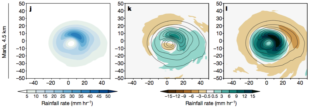 Computer simulation of rainfall