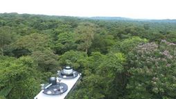 Researchers on the GoAmazon project had this view from the top of the Eddy Flux Tower in the canopy, where they measured trees&rsquo; emissions. 