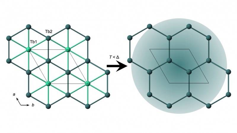 Due to the local terbium environment in TblnO3, a honeycomb lattice of terbium spins emerges in the crystal structure upon cooling. Credit: University of Liverpool