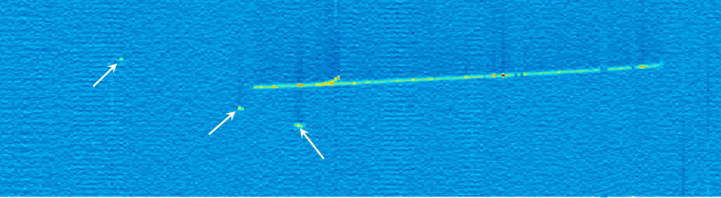 This is a visual display of an ArgoNeuT event showing a long trail left behind by a high energy particle traveling through the liquid argon accompanied by small blips, indicated by the arrows, caused by low energy particles.