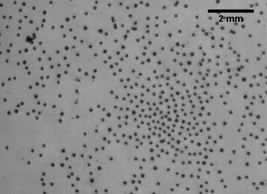 Argonne researchers suspect these magnetic particles can actually talk to each other in a manner similar to birds to avoid each other in flight. (Image by Argonne National Laboratory / Alexey Snezhko.)