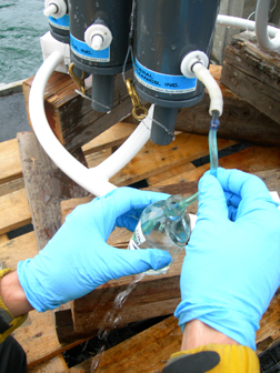 water samples