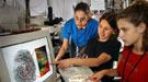 Students and a scientist looking at a computer