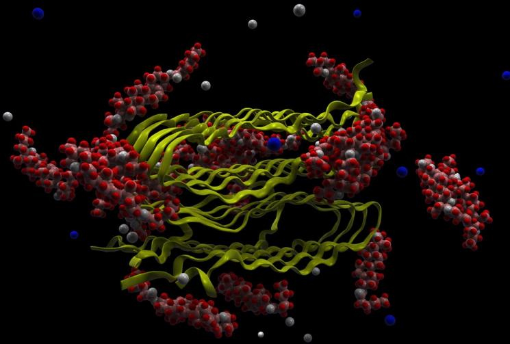 visualization of drug molecules (