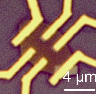 Microscopic image showing three-dimensional &ldquo;gated&rdquo; topological insulator device fabricated from (Bi0.50Sb0.50)2Te3 nanoplates.