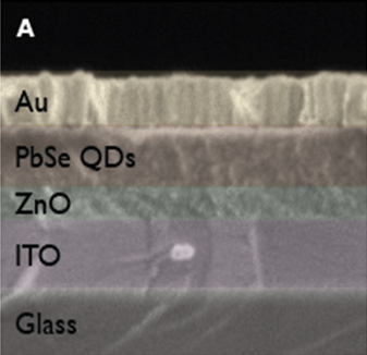 Scanning electron microscope image of actual device (color simulated)