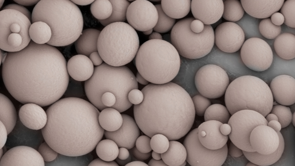 Microscopic image of heat-sensitive microspheres. 