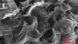 Scanning electron microscope image of sulfur graphene oxide.