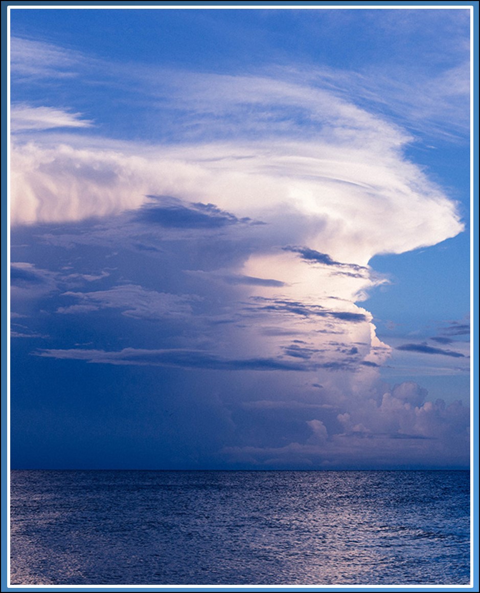 Gust or Bust: Blustery Winds Important for Modeling Tropical Rainfall 