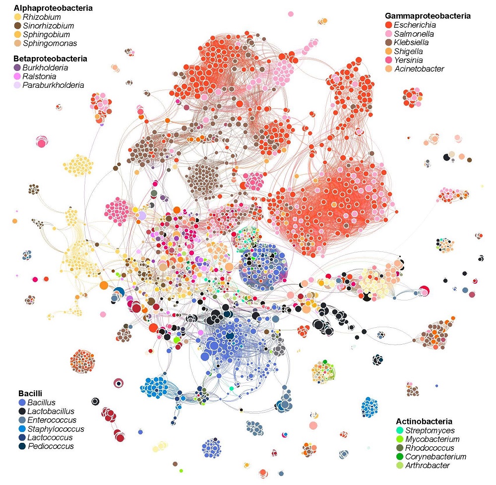Bacterial communities are naturally grouped together, forming a network of shared toxins and antitoxins. 