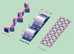 description or caption