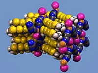 description or caption