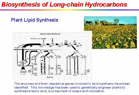 description or caption