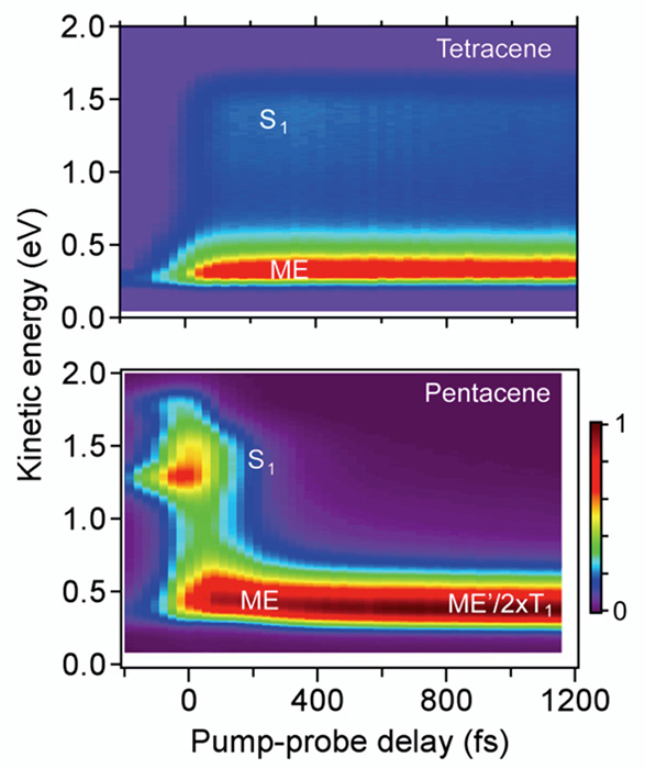Illustration of multiple exciton generation (MEG) with a singlet exciton (S1)...