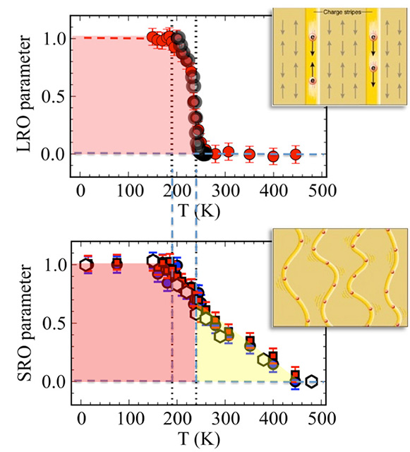 Data points indicating the strength of long-range charge order (top) show that the static stripe order disappears at 240 K, while the data related to short-range dynamic correlations (bottom) show a gradual decay at much higher temperatures.