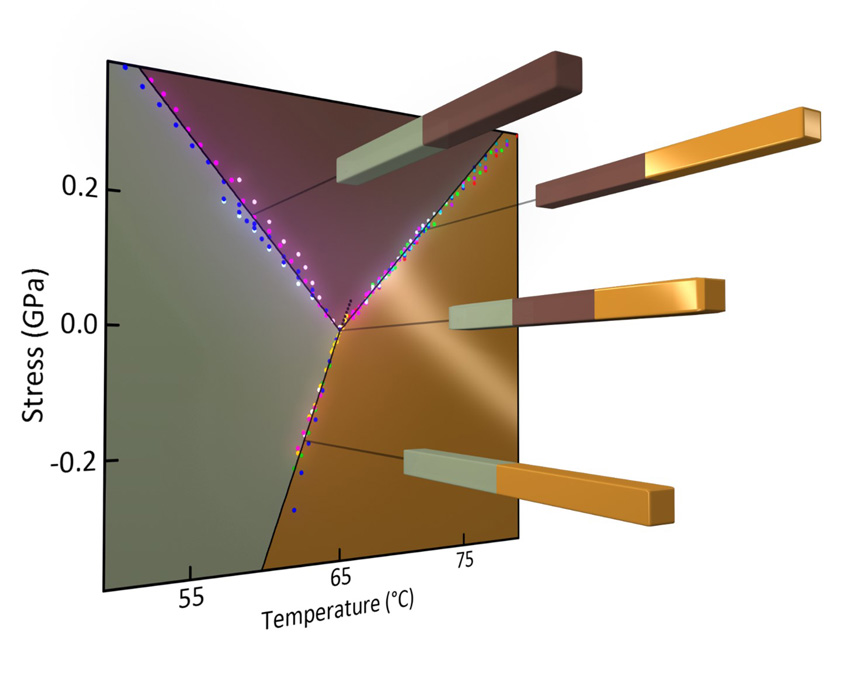 Measured phase diagram for the three solid phases of vanadium oxide (VO2): metallic (golden), insulating M1 (grey), and insulating M2 (purple).