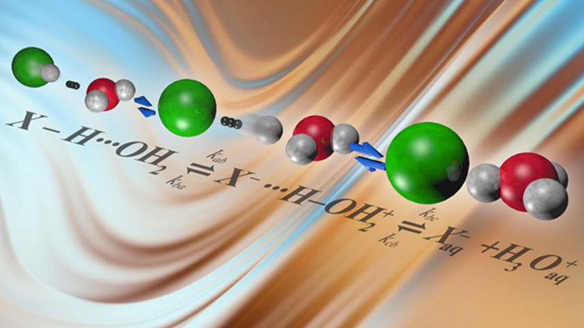 Understanding the conditions and pathways that position populations of isolated ions and shared proton species as they react in water allows scientists to better understand the chemistry of concentrated hydrogen chloride solutions, which has implications in chemical processes ranging from refining oil to building longer-lasting batteries