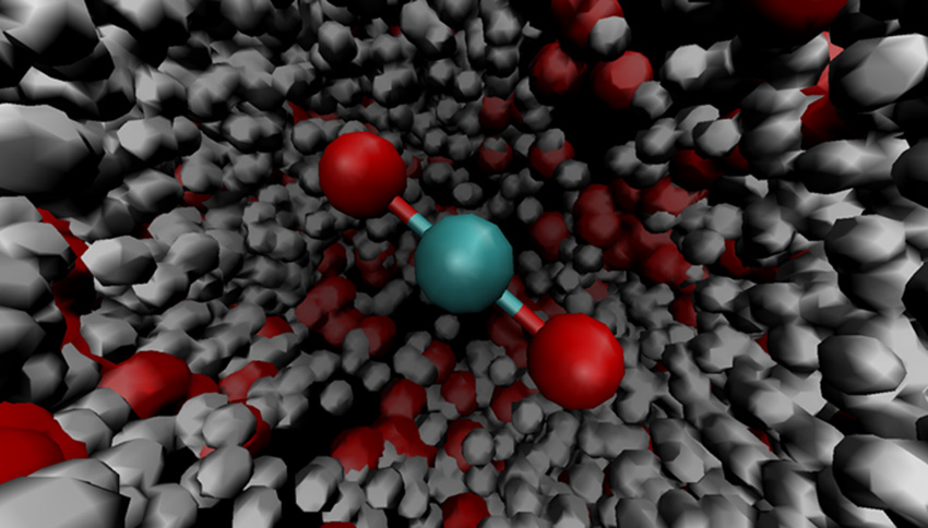When gaseous carbon dioxide (center) is dissolved in water, its water-fearing or hydrophobic nature creates a cylindrical cavity in the liquid, setting the stage for the proton transfer reactions that produce carbonic acid