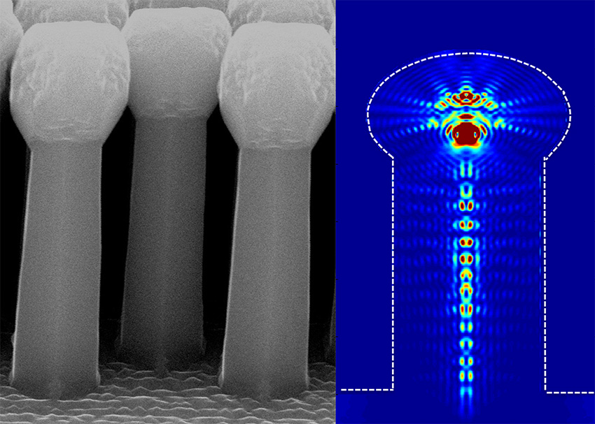 (Left) Silicon wires with match heads and (right) light absorption profile of a single match-head wire at 587 nm absorption.