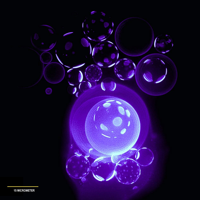 A simple chemical analogue to a biological cell responds to a perceived threats.