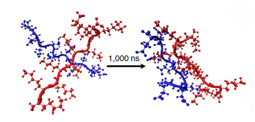 Whether a solid or liquid forms from charged polymers depends on the “handedness” of the oppositely charged polymer chains.