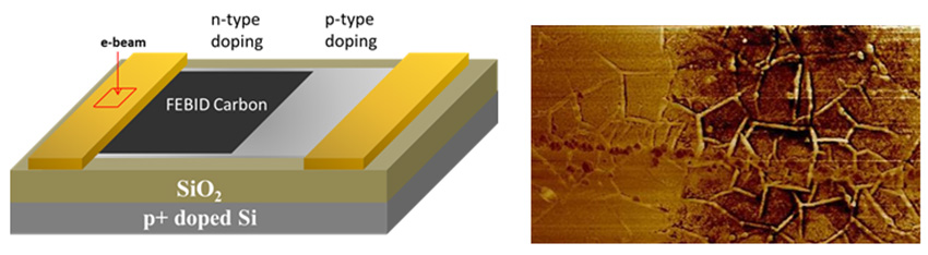 The atomic force microscopy image of the junction between the graphene domains shows an electron-deficient region.