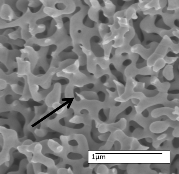 High magnification images of the surface of a crack - referred to as the fracture surface - provide information on how cracks are formed and progress through a material as it breaks.