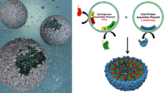 More Efficient Conversion of Water to Hydrogen Fuels 