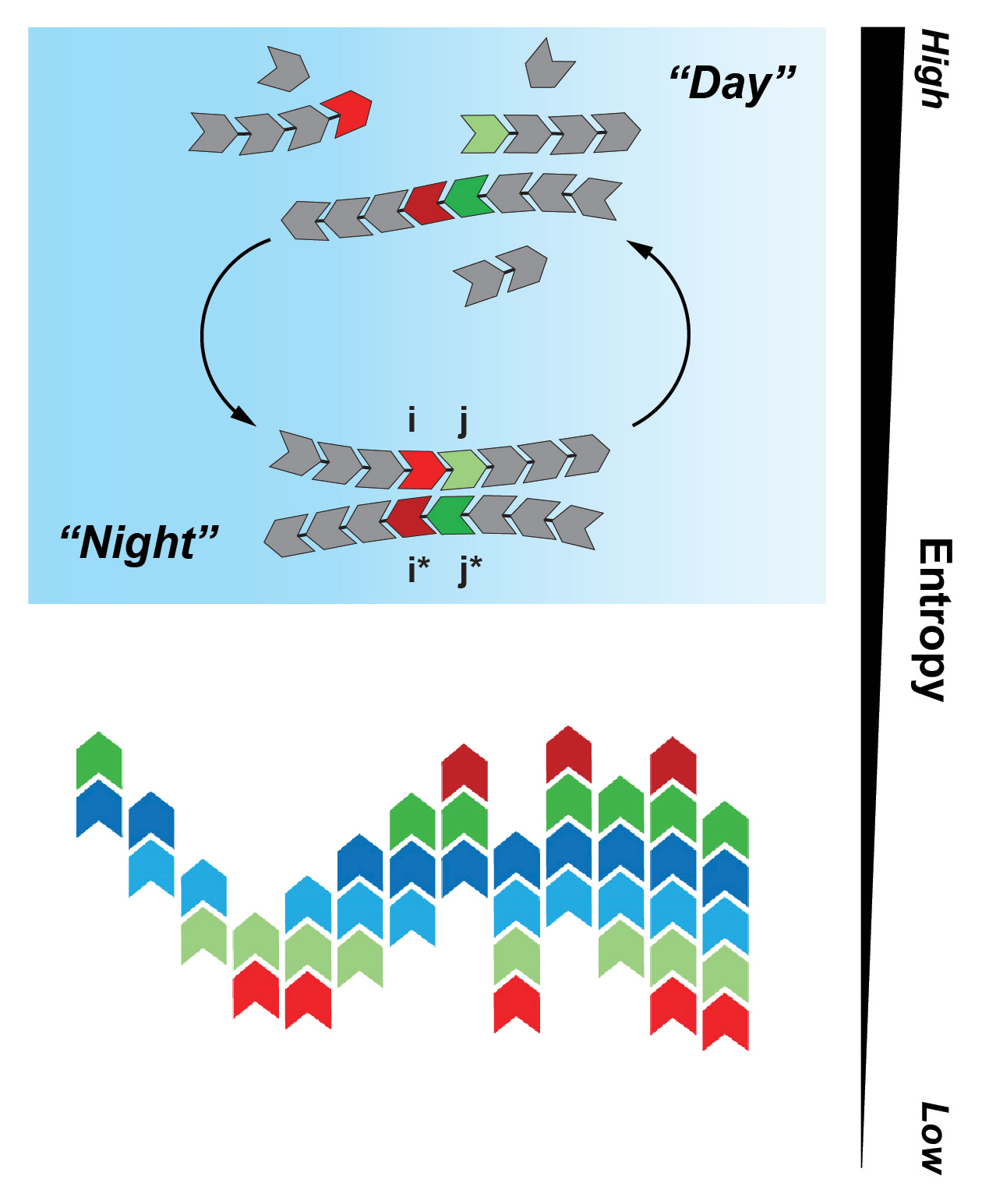 Polymer Model Helps Explain the Origins of Life