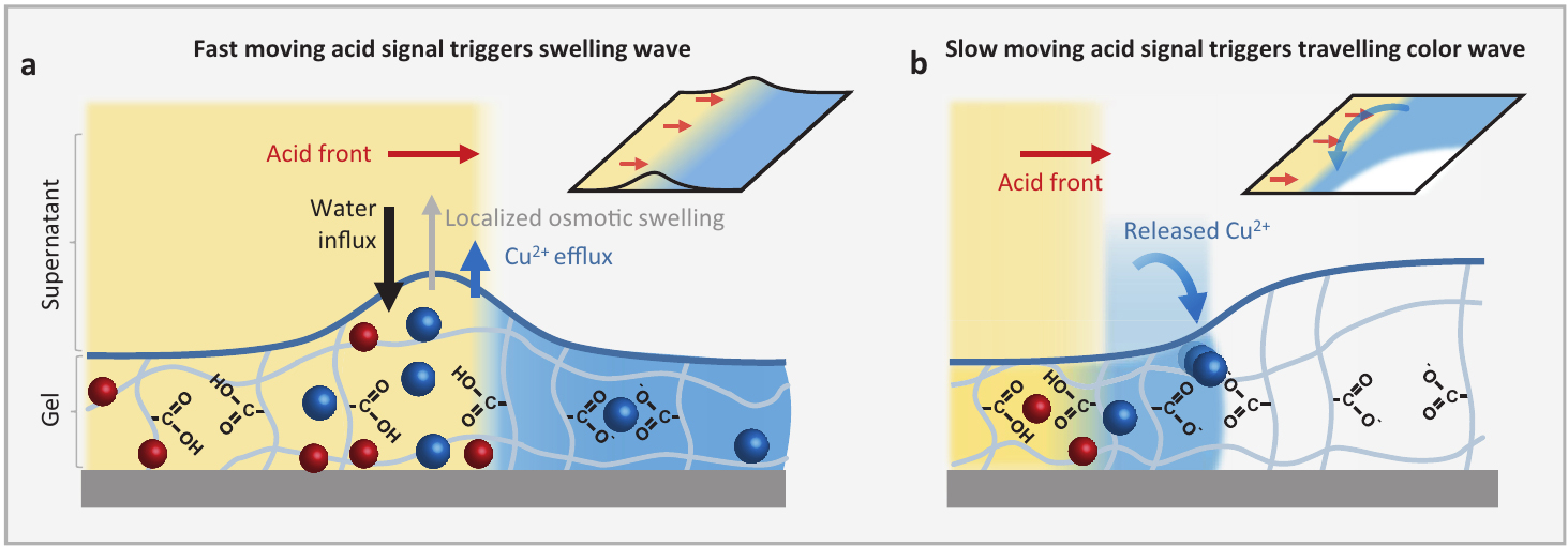 Two graphs of acid signal triggers.