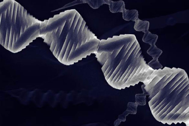 A black and white of a helix.