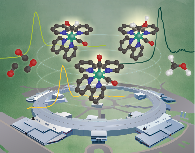This research studied the reduction of carbon monoxide to methanol using ruthenium complexes. Information about the ruthenium came from data collected at the National Synchrotron Light Source II.