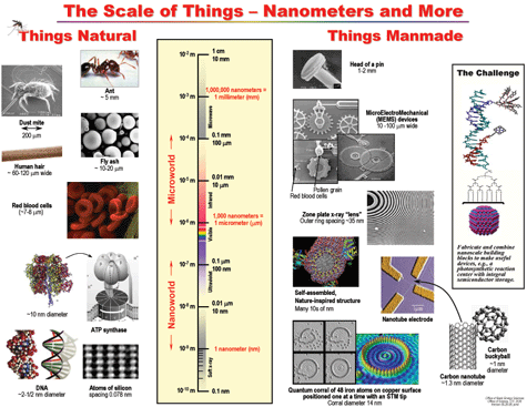 BES "Scale of Things" Chart