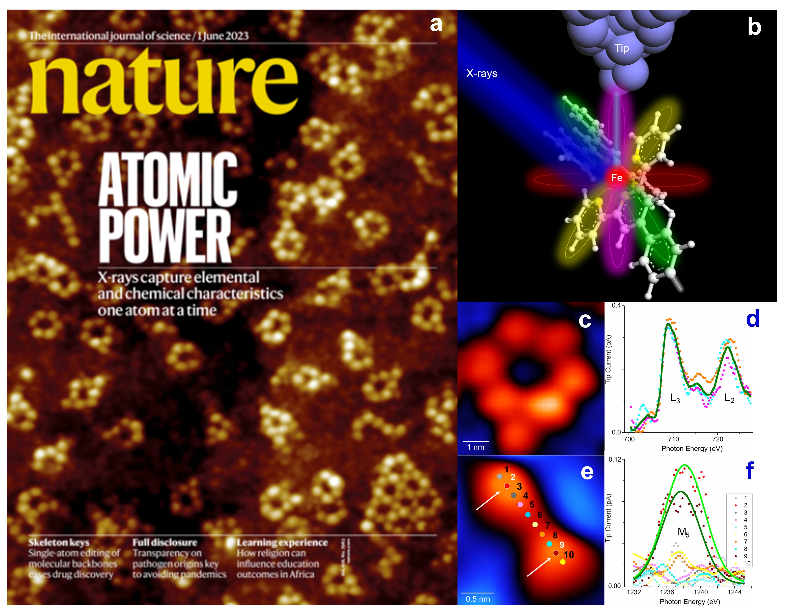 This image shows (a) the Nature magazine cover; (b) the single atom X-ray mechanism; (c) a supramolecular ring with one iron atom; (d) X-ray spectra of one iron atom; (e) a terbium dimer complex; (f) the X-ray spectra of one terbium atom.  