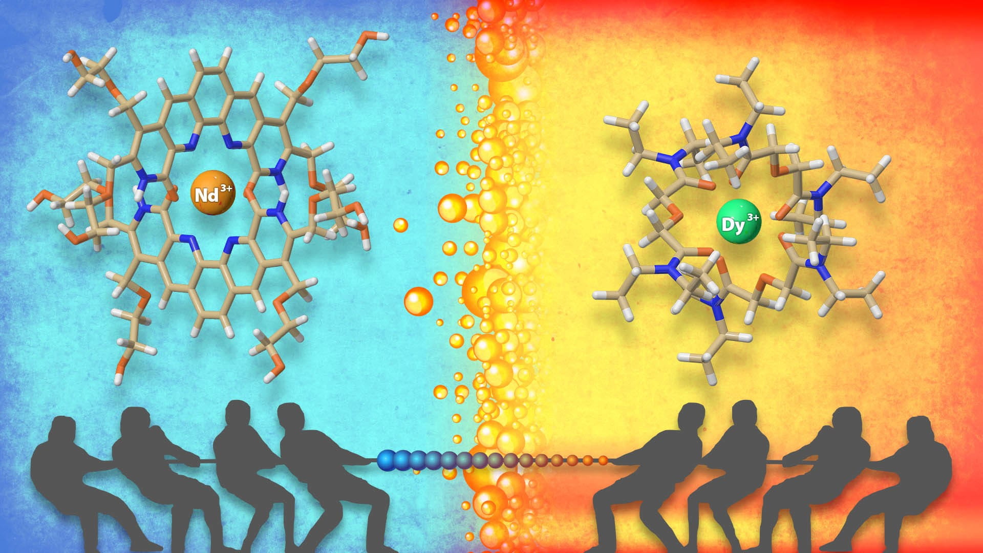 Water-soluble and oil-soluble organic molecules effectively separate different elements in the lanthanide series of the Periodic Table.