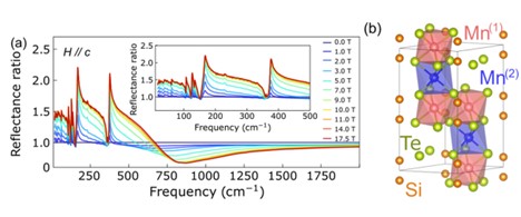 Details of the properties of Mn3Si2Te6. (a) Reflectance ratios of Mn3Si2Te6 as a function of magnetic field at 5.5 K. (b) Crystal structure showing two distinct manganese sites.