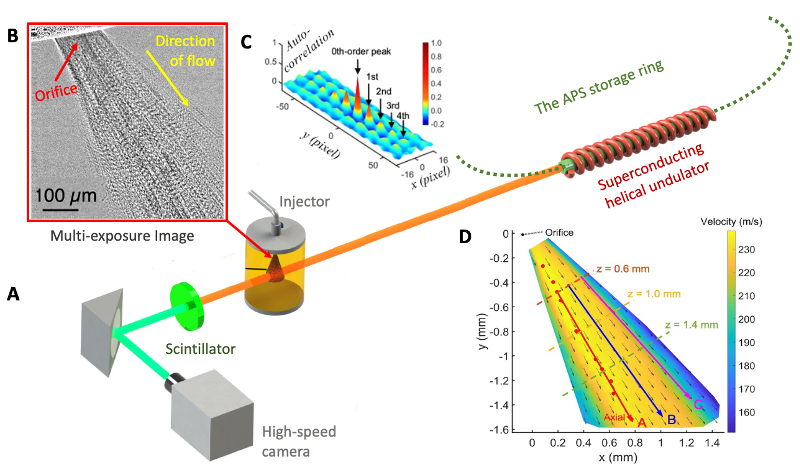(A) The ultra-intense X-ray beams delivered by the unique superconducting helical undulator. (B) Ultrafast multi-pulse X-ray images. (C) Analysis of a region of interest. (D) A high-resolution velocity map of the near-nozzle spray. 
