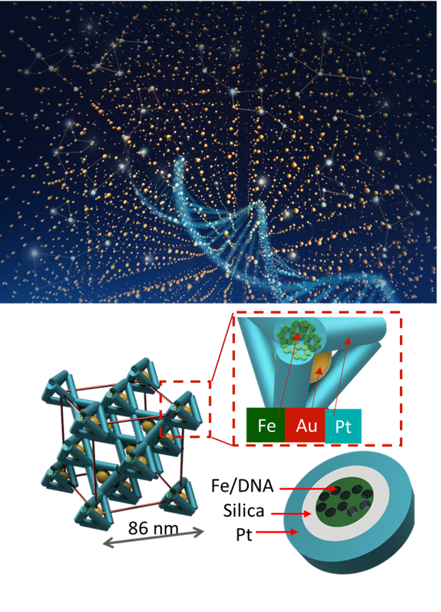 Visualization of a 3D assembly of DNA-guided nanoparticles and frameworks (top). Multi-element template (teal) framework of tetrahedra (bottom). Zoomed-in portion shows iron (Fe), silica, platinum (Pt), and gold (Au).