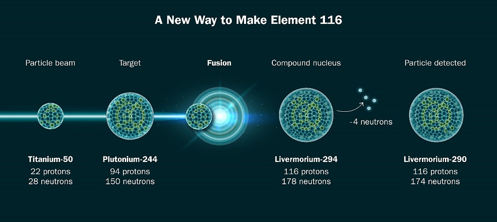 To make element 116, researchers fused isotopes of titanium and plutonium.