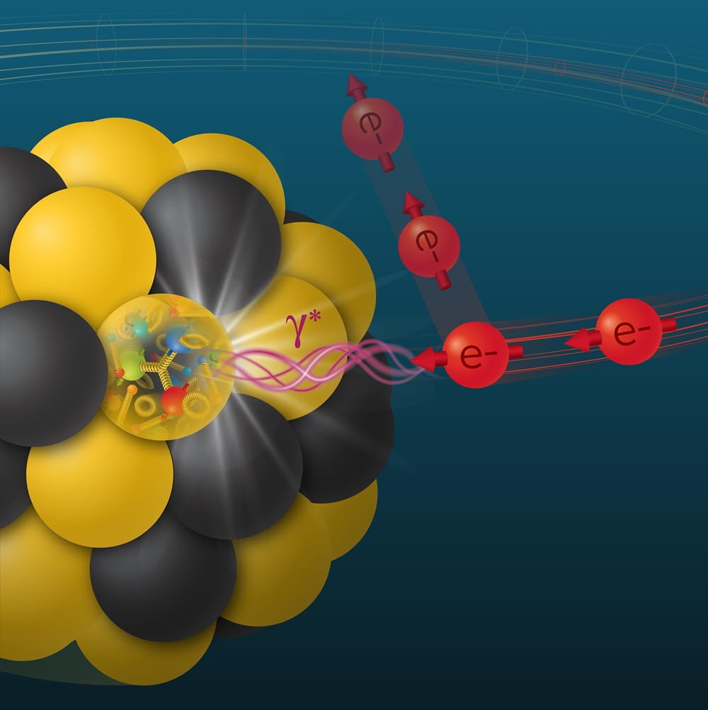 In Electron-Ion Collider (EIC) collisions, interactions between a virtual photon (γ) emitted by an electron colliding with a proton in a nucleus can reveal the arrangement of quarks and gluons inside the nucleus.