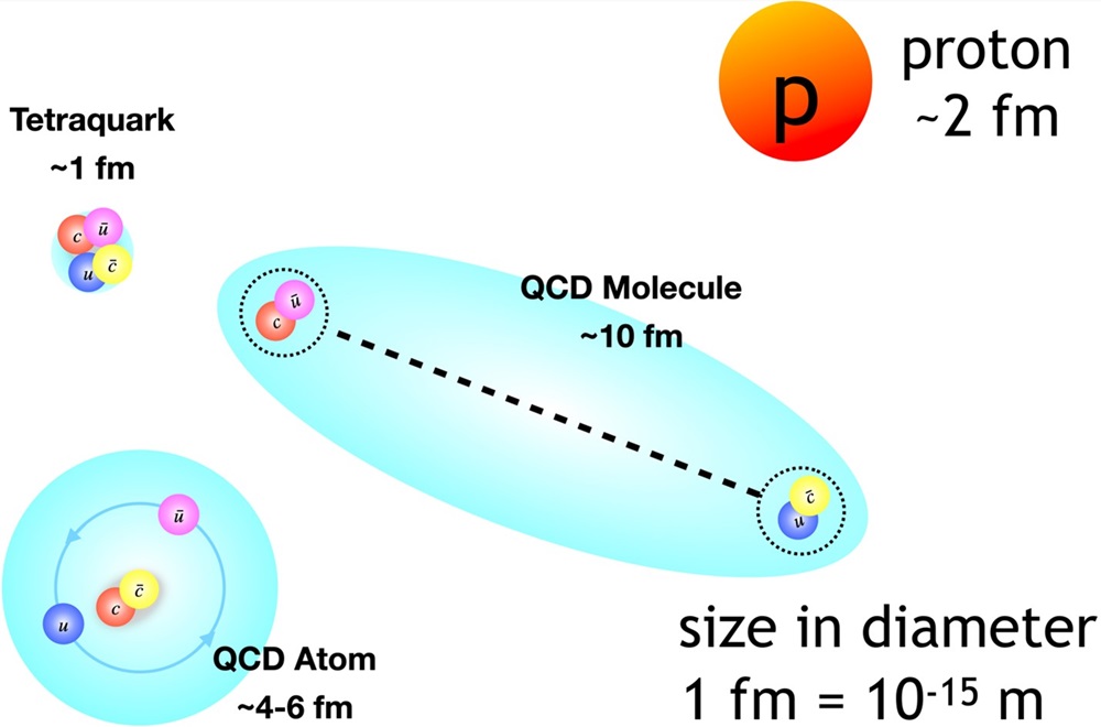A depiction of proposed four-quark structures and their sizes relative to the proton. The labels u and c represent the up and charm quarks, respectively, while the labels u and c with bars indicate the corresponding antiquarks. 