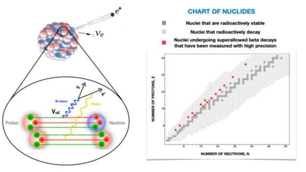 In nuclear beta decay an up quark ‘u’ in a proton converts into an up down quark ‘d,’ turning the proton into a neutron and emitting a positron and a neutrino. This work affects interpretation of beta decay measurements across the chart of nuclides.